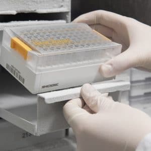 هوگرژن - جت بایوفیل