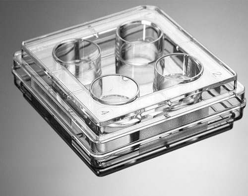 هوگرژن - جت بایوفیل