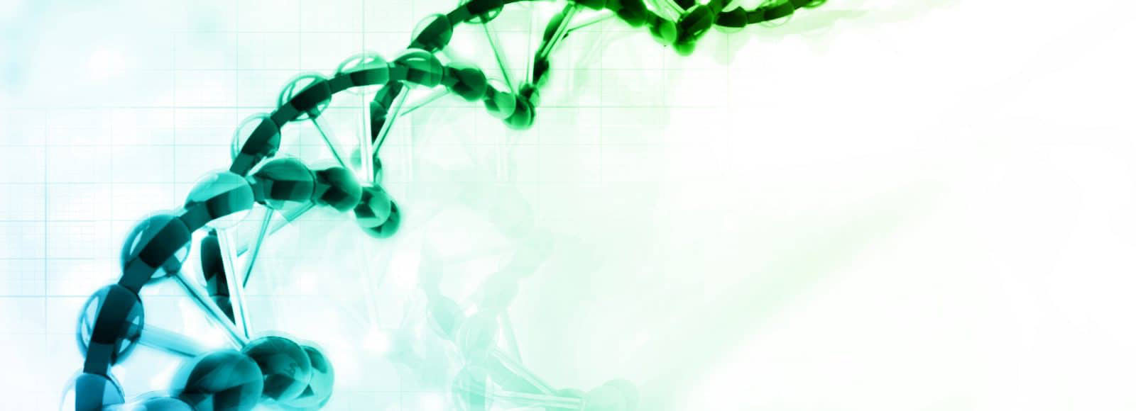 هوگرژن - جت بایوفیل