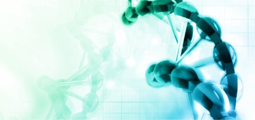 هوگرژن - جت بایوفیل